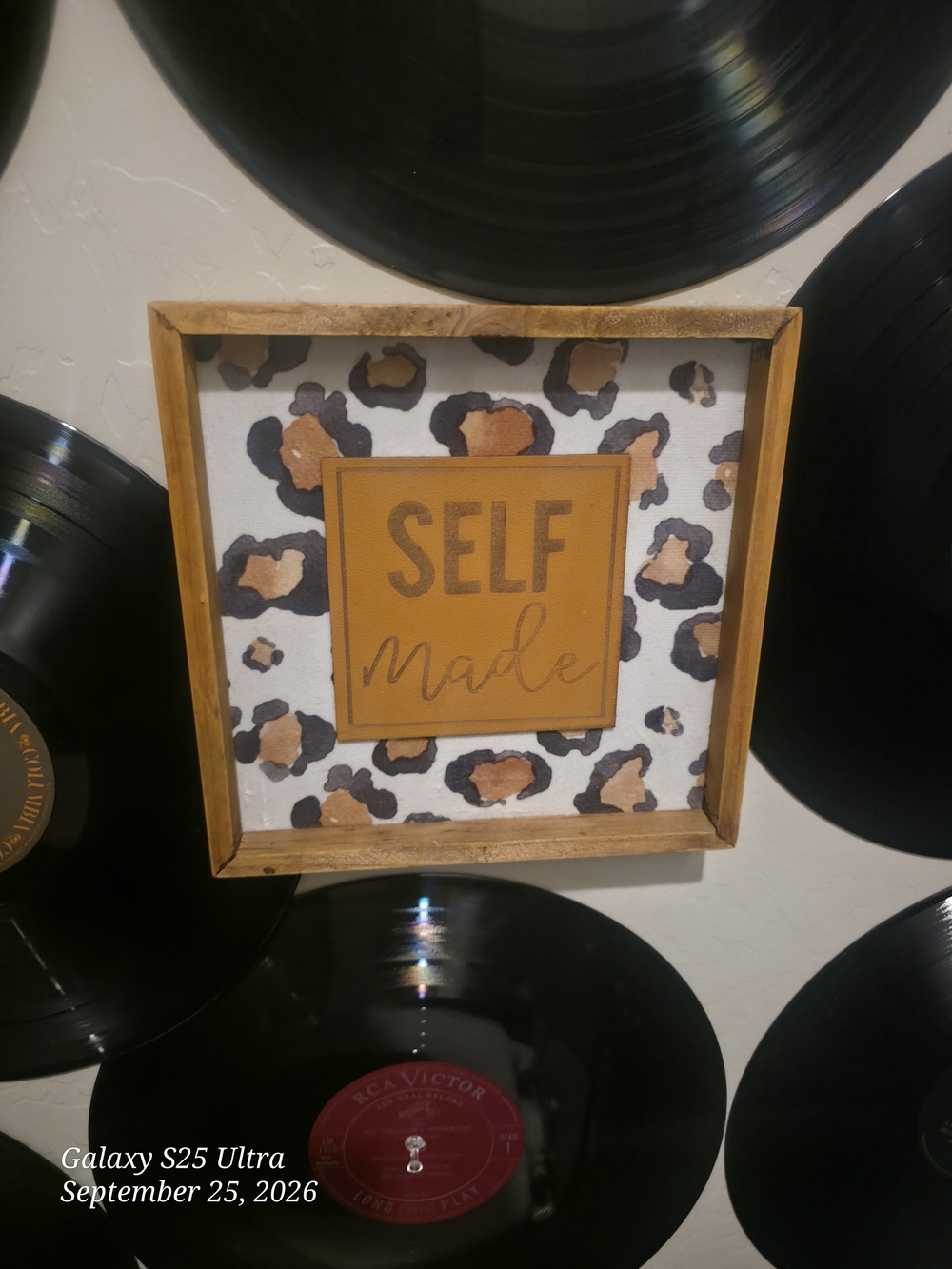 Self Made Leopard Accent Wall Art - Brown